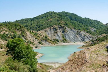 Dağın altında ağaçlarla, suyun içinde ve çevresinde bazı hayvanlar var.