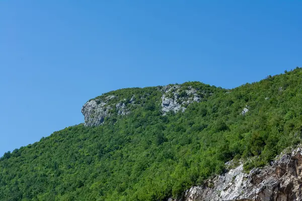 Dağdaki yeşil ağaçların arasında kayalık.