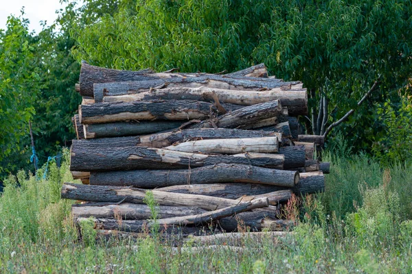 Etrafı yabani otlarla çevrili ağaçların önünde odun yığını