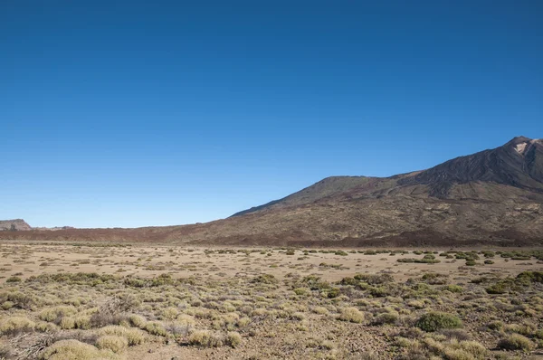 Monte Teide — Foto de Stock