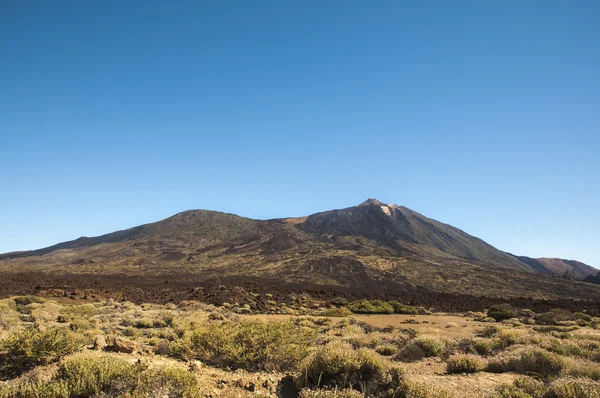 Βουνό teide — Φωτογραφία Αρχείου