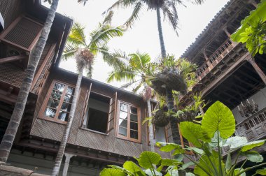 bir evin bahçesinde 