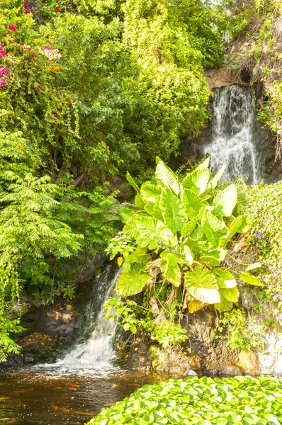 Japanese waterfall — Stock Photo, Image