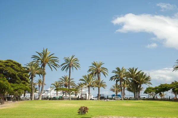 Caraibico con palme — Foto Stock