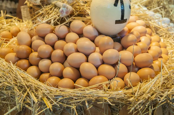 Mucho huevo —  Fotos de Stock