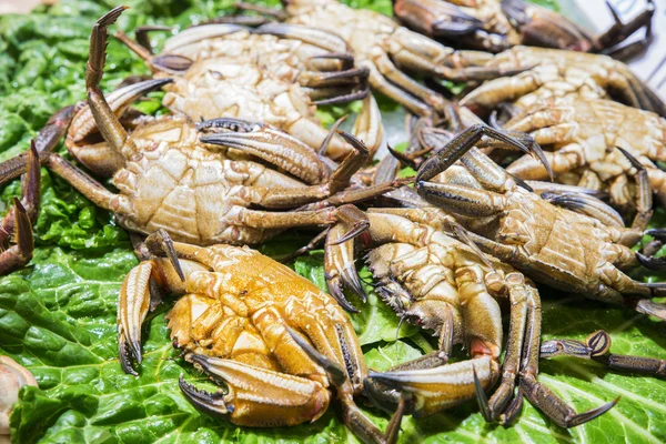 新鮮な海のカニ — ストック写真