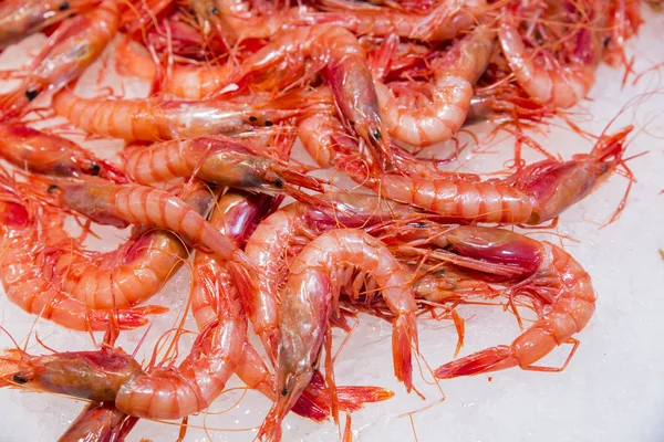 新鲜红虾 — 图库照片