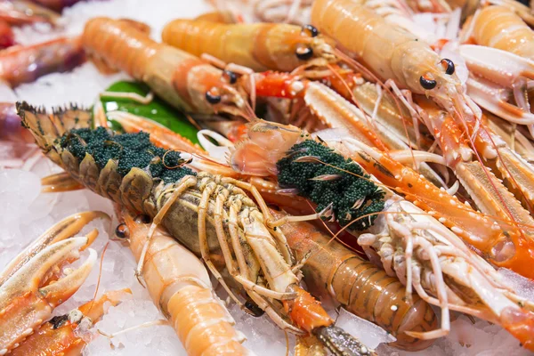 Homards frais aux œufs — Photo