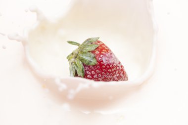 damla sıçramasına çilek 