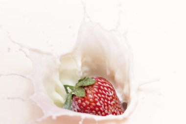 damla sıçramasına çilek