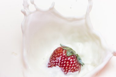 damla sıçramasına çilek 