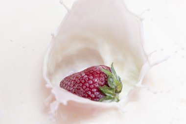 damla sıçramasına çilek 