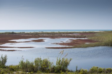 Bacelona gölde Llobregat