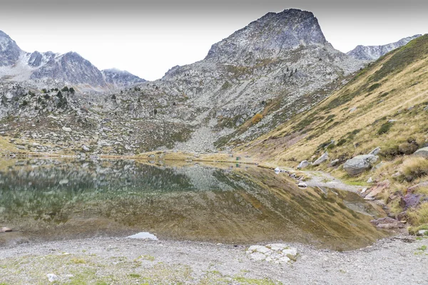 Lago de abelhas — Fotografia de Stock