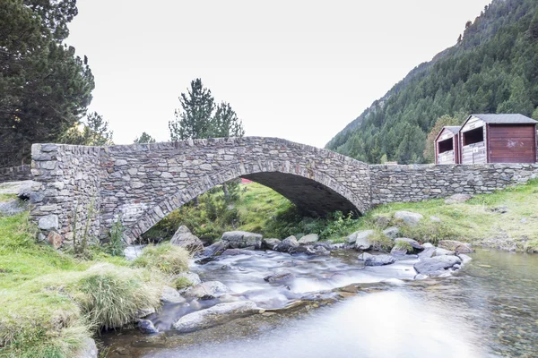 Fluss umgeben von Vegetation — Stockfoto