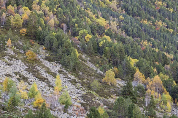 Гори восени — стокове фото