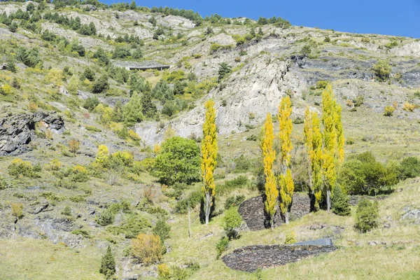 Montanhas no outono — Fotografia de Stock