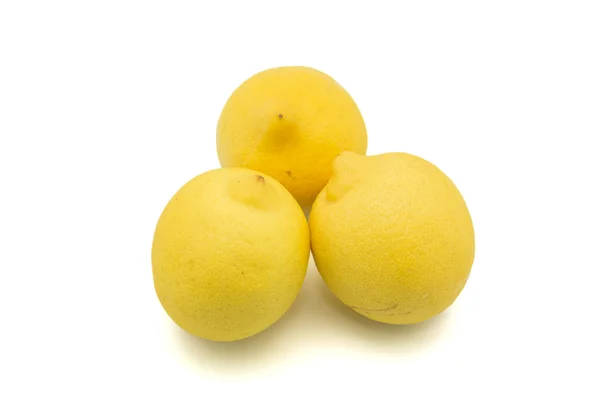 Żółty cytrynowy — Zdjęcie stockowe