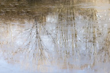 Dondurulmuş bir gölün yansımaları
