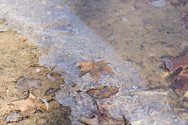 Frozen lake — Stock Photo, Image