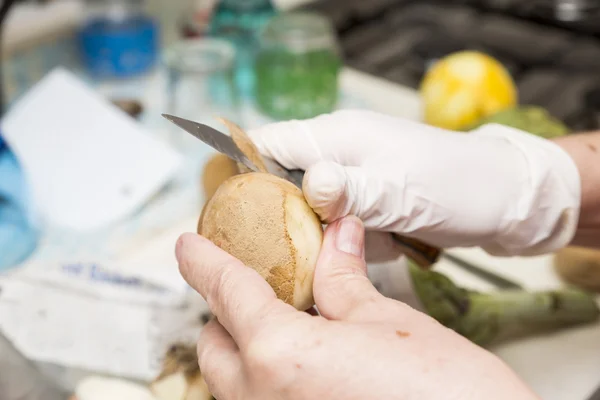 Peeling aardappelen — Stockfoto