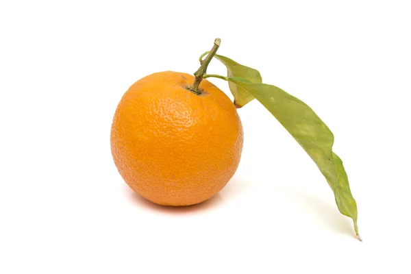 Reife Orange — Stockfoto