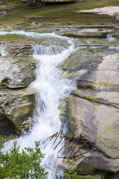 Rupid rivier — Stockfoto