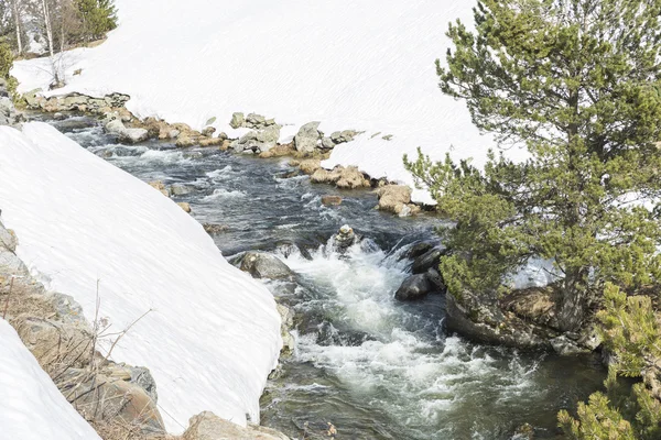 Rivier en omringd door de natuur — Stockfoto