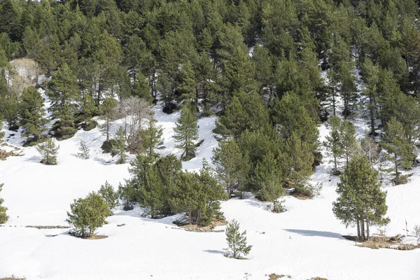 Snöiga berg — Stockfoto