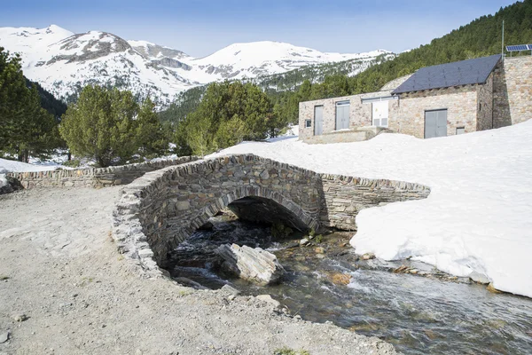 Rivier omgeven door vegetatie — Stockfoto