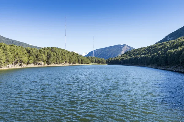 Lago de abejas — Foto de Stock