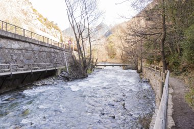 Bitki örtüsü ile çevrili Nehri