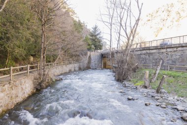 Bitki örtüsü ile çevrili Nehri