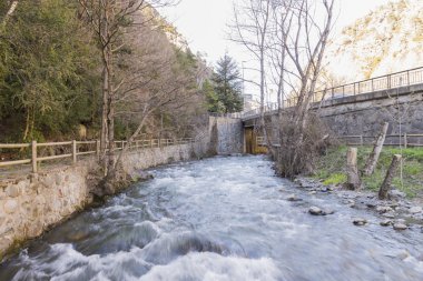 Bitki örtüsü ile çevrili Nehri