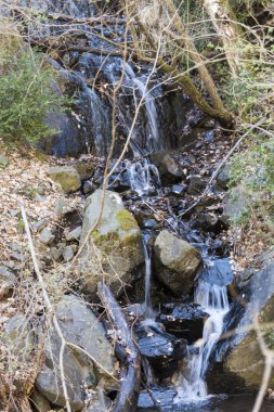 Bitki örtüsü ile çevrili Nehri