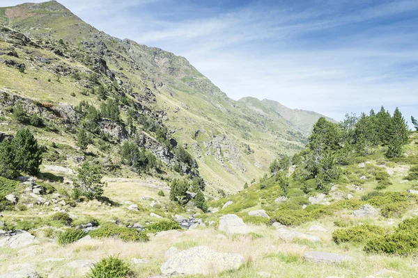 Frühlingshafte Berglandschaft — Stockfoto