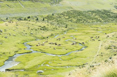 bahar dağ manzarası