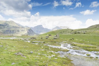 Bitki örtüsü ile çevrili Nehri