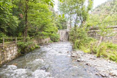 Bitki örtüsü ile çevrili Nehri