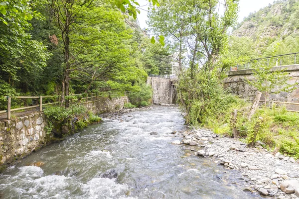 Floden omgiven av vegetation — Stockfoto