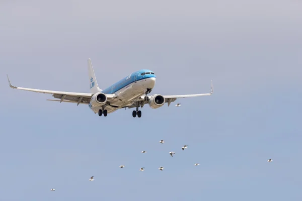 Letadlo letecká společnost KLM — Stock fotografie