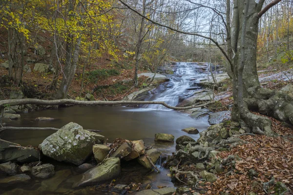 Wodospad w Montseny — Zdjęcie stockowe