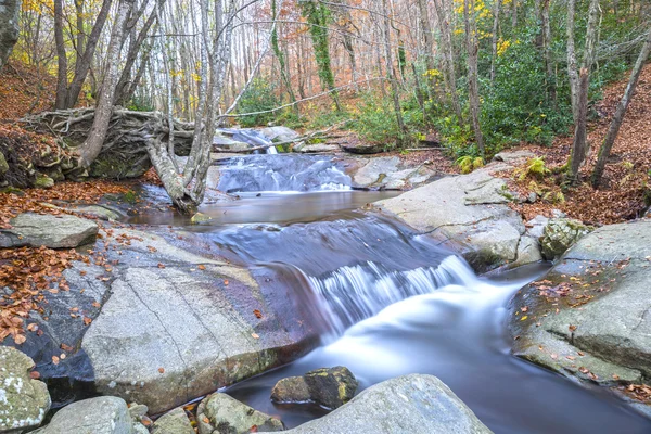 Річка в місті Montseny — стокове фото