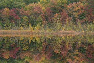Williams Gölü 'nün sonbahar manzarası sakin sularda yansıyan yansımalarla, Yankee Springs State Park, Michigan, ABD