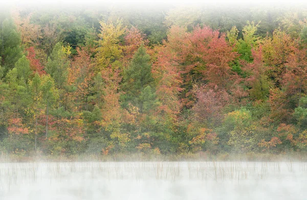Foggy Paysage Automnal Rivage Lac Mcdonald Yankee Springs State Park — Photo