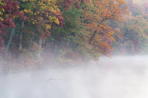 Foggy Paysage Automnal Rive Lac Eagle Fort Custer State Park — Photo