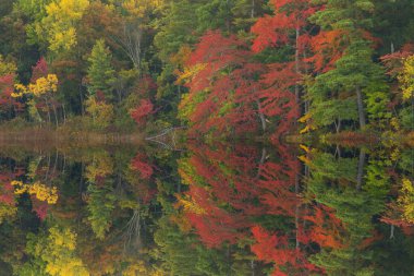 Long Lake kıyılarının sonbahar manzarası sakin sularda yansıyan yansımalarla, Yankee Springs State Park, Michigan, ABD