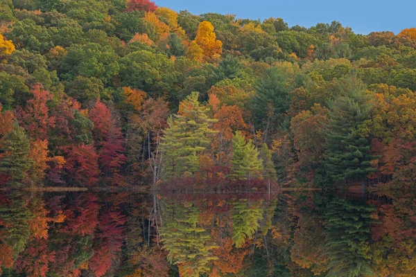 Autumn Landscape Shoreline Hall Lake Mirrored Reflections Calm Water Yankee — Stock Photo, Image