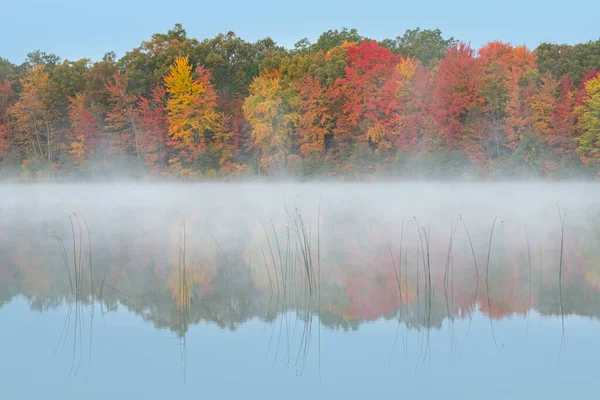 Nebelige Herbstlandschaft Ufer Des Mcdonald Lake Mit Spiegelungen Ruhigem Wasser — Stockfoto