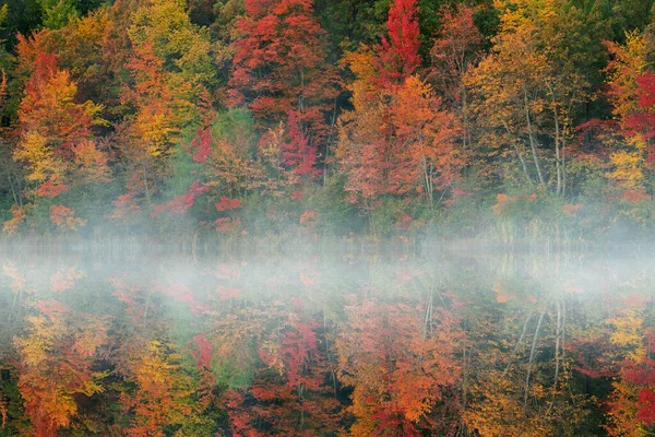 Foggy Herfst Landschap Van Kustlijn Van Mcdonald Lake Met Spiegelende — Stockfoto